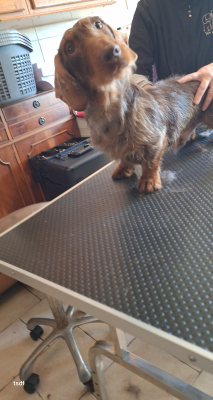 [Image: 20250305-094104.jpg]