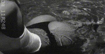 1152708.gif