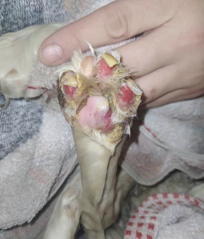 68A5FD36-B409-42B8-A904-9A7998502E9B