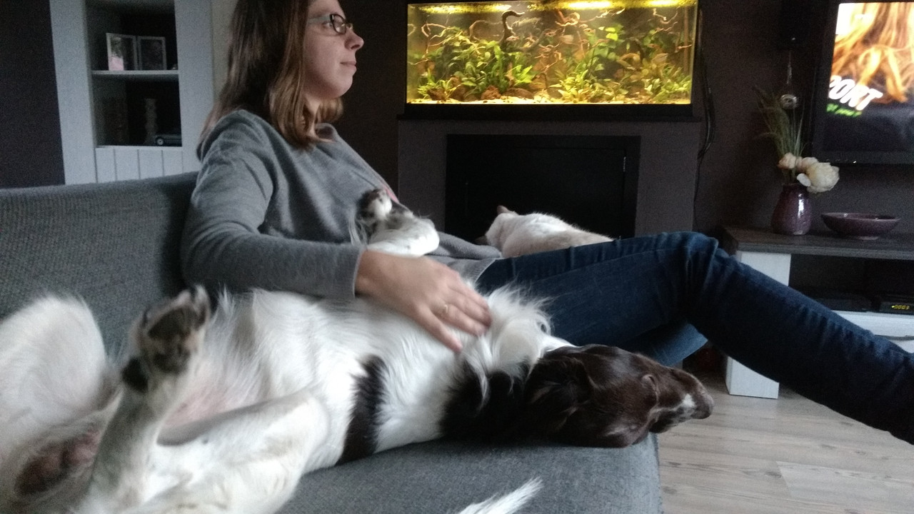 IMG_20171008_185011226