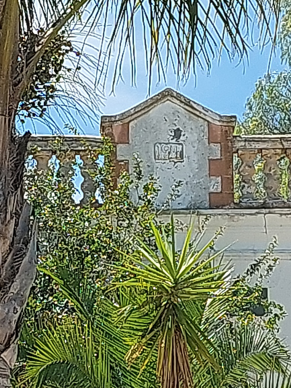 IMG_20241106_112311