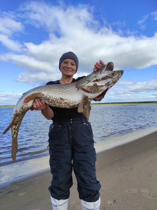 78093e02-3ec1-4240-8fad-e0ab92cb92df