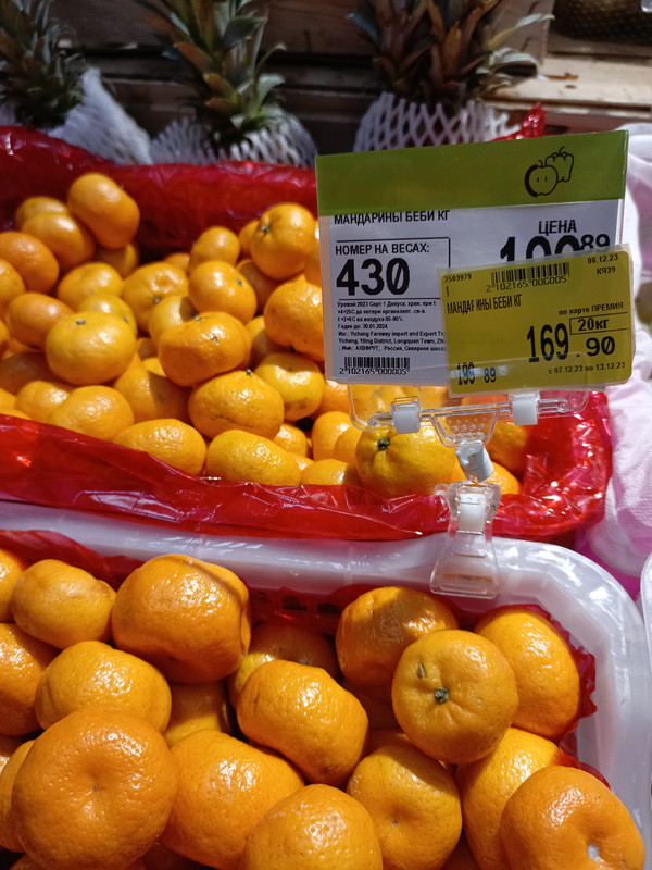 IMG_20231207_170427_980