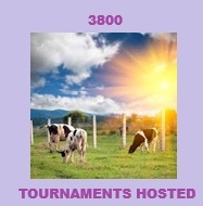3800 tours hosted