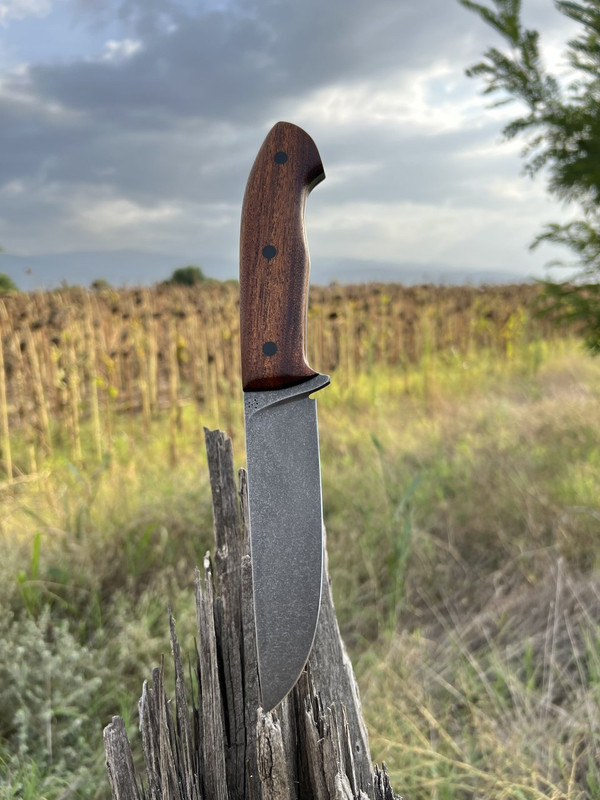 1FC41065-2BDA-428A-AA77-CDC9E0DD6DEC