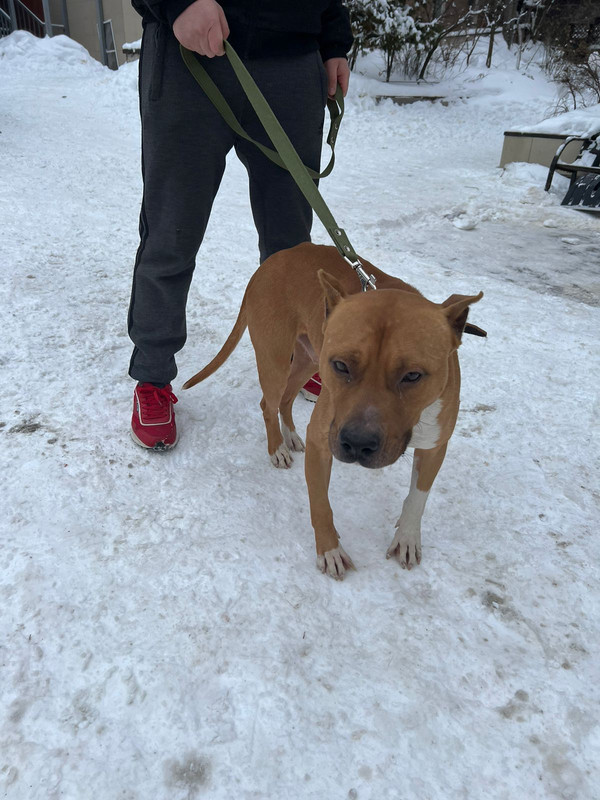 WhatsApp Image 2024-01-28 at 16.04.43 (1)