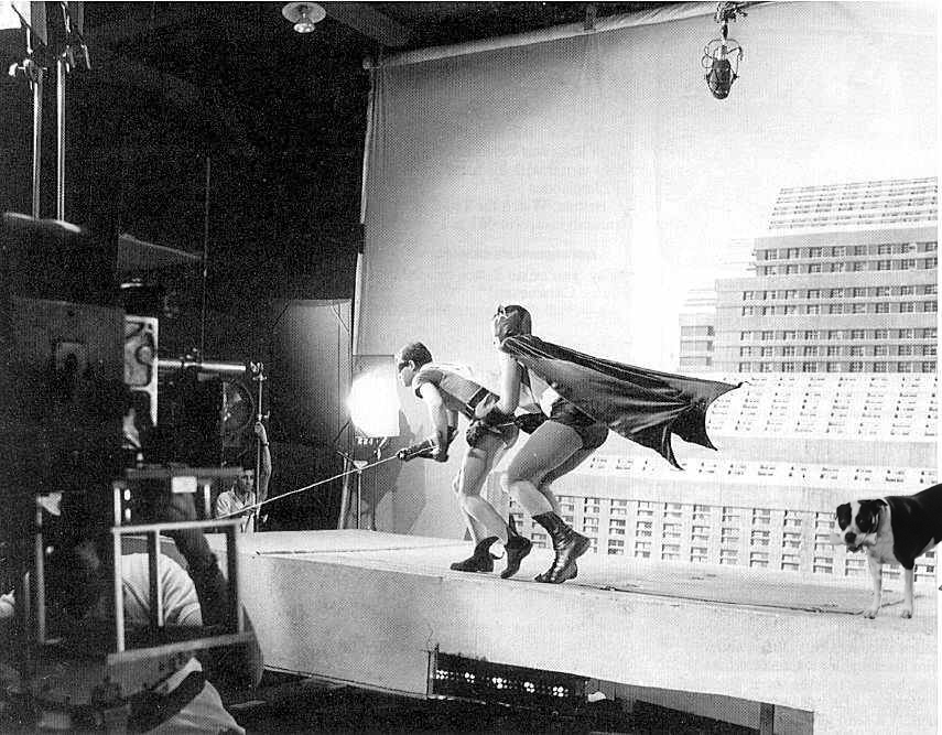 Bat-Climb-photo-via-www-bat-mania-co-uk.png