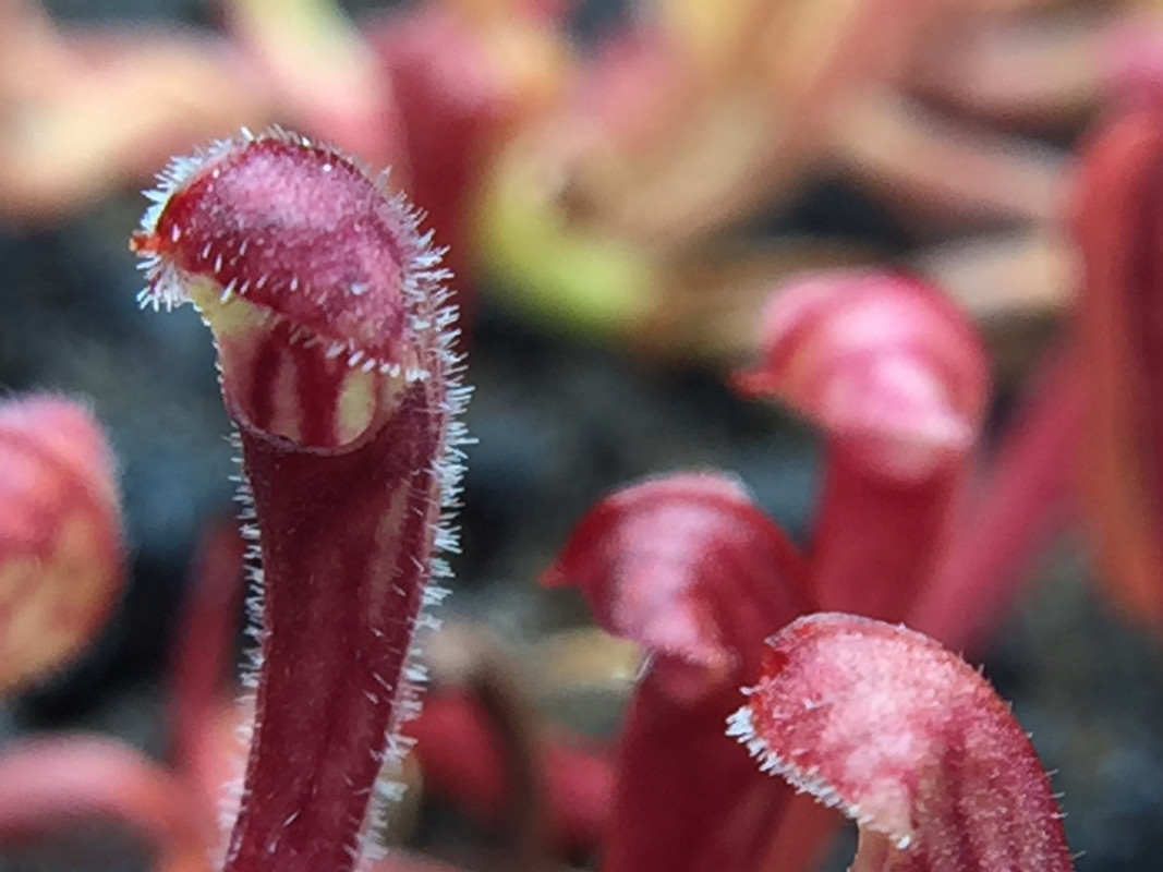 E4D90E42-6DEA-4432-89FA-6A07A89636FD