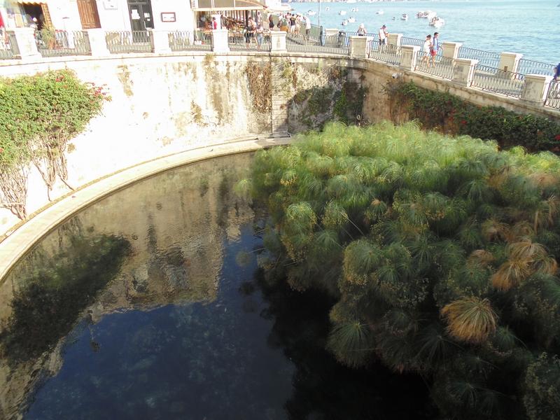 Día Diez: Ibla-Noto-Siracusa - Un viaje por la Historia y los mitos: Malta y Sicilia. (10)