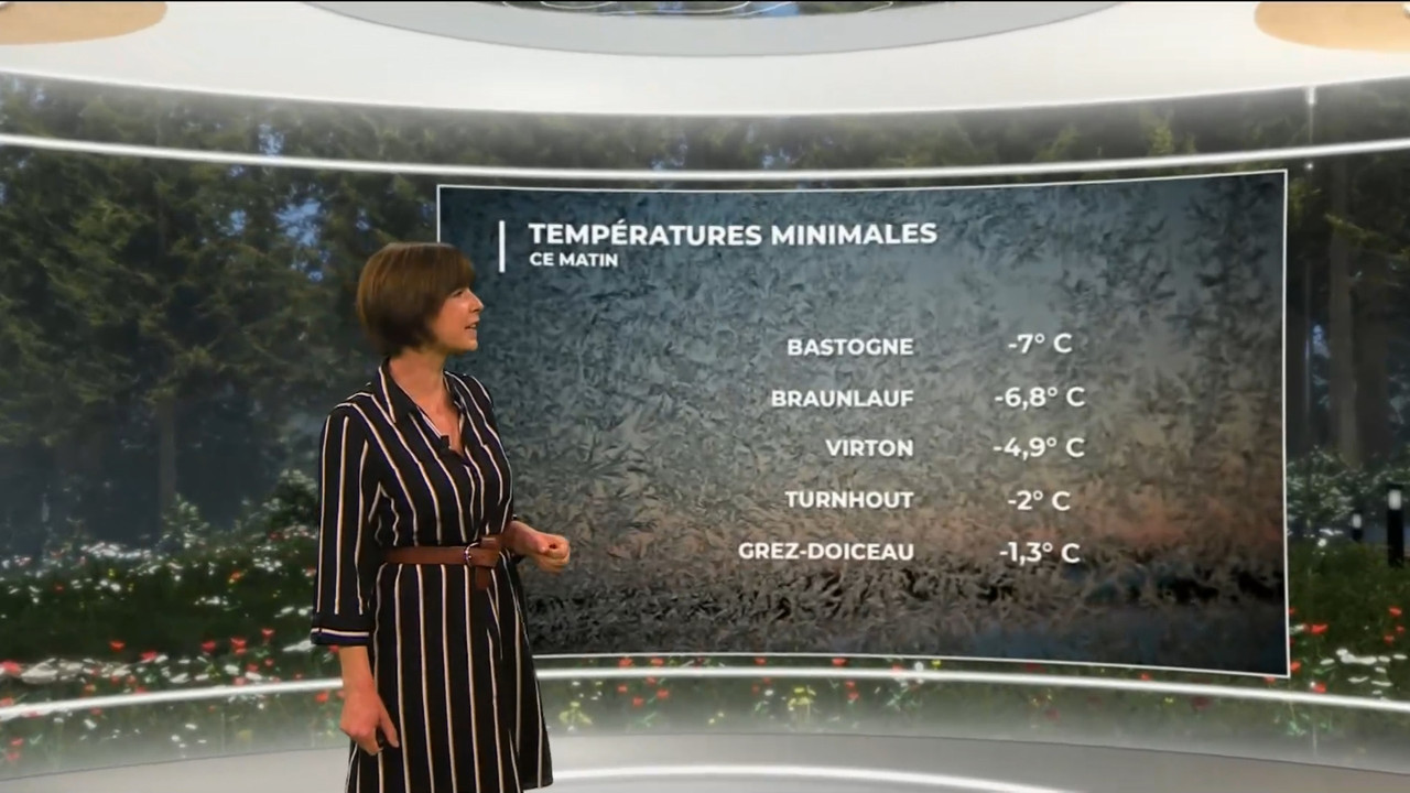 03.20 - 11.45.00 - Contacts. Verkeerstips.ts_snapshot_13.38.024