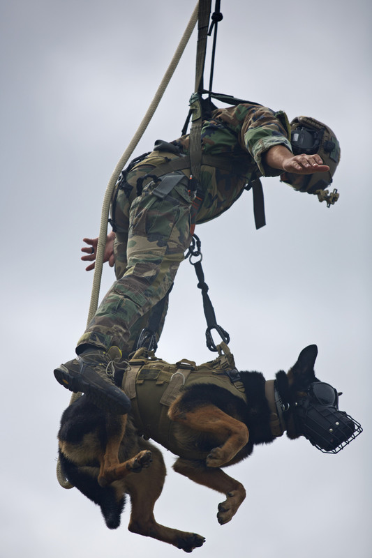 MARSOC K9A4