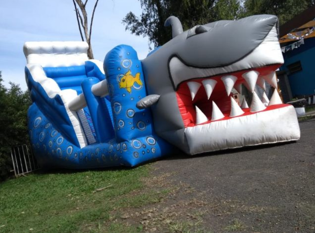 Tobogã Tubarão 2 em 1