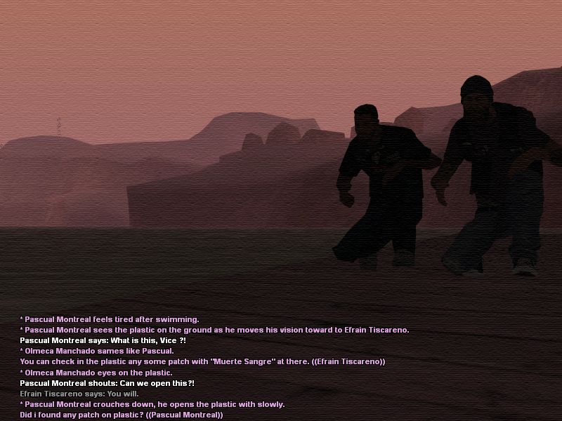 ssroleplay1067.png