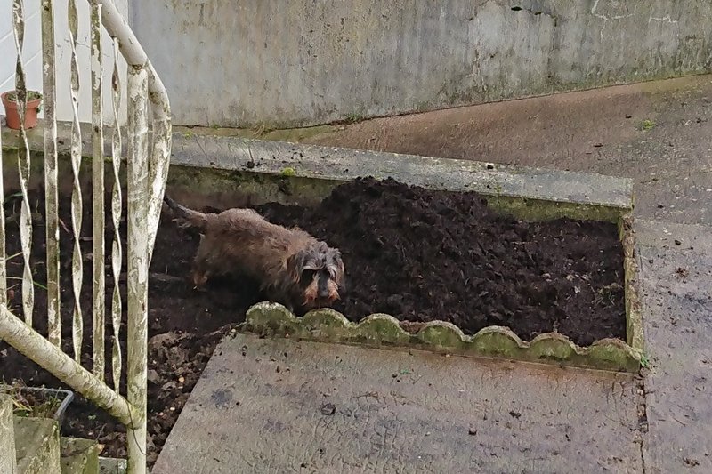 [Image: DSC-3539.jpg]