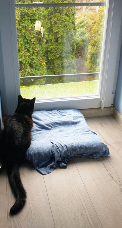 IMG 20251114 142115723 2