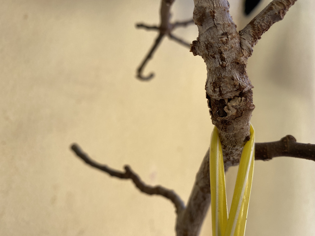 C2F16847-56A8-4F12-BCBD-3C93CD77FE65