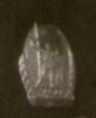 Самсонов Иван Иванович 4