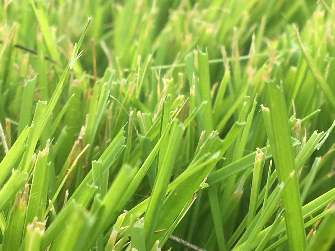 4AEC58A3-BCED-4959-A6B5-5826425E76BF