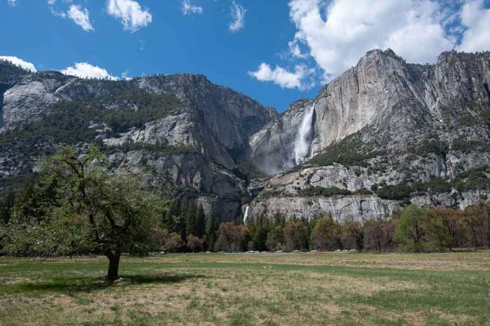 Visiting Yosemite with a Complete Guide in a Single Day