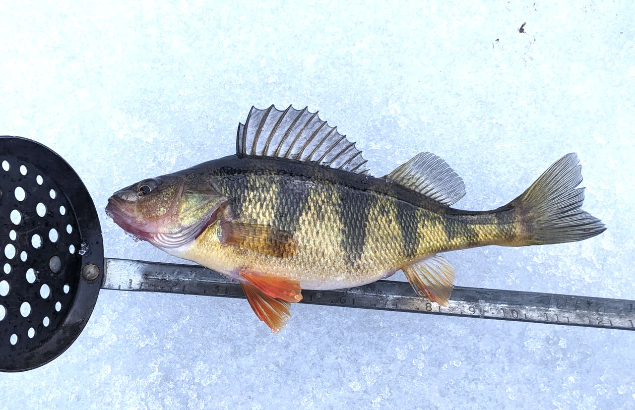 Screenshot 2026 02 16 at 8 27 08 PM