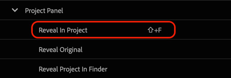 Reveal in Project