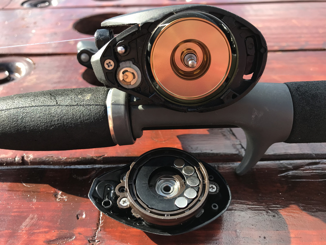 Lews Speed Spool SLP CP1SH Fishing Rods, Reels, Line, and Knots