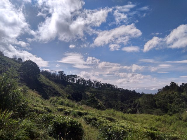IMG-20230204-092652.jpg