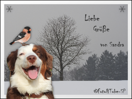 An den Beitrag angehängtes Bild: https://i.postimg.cc/Xq6Twn1L/gbls04c.png