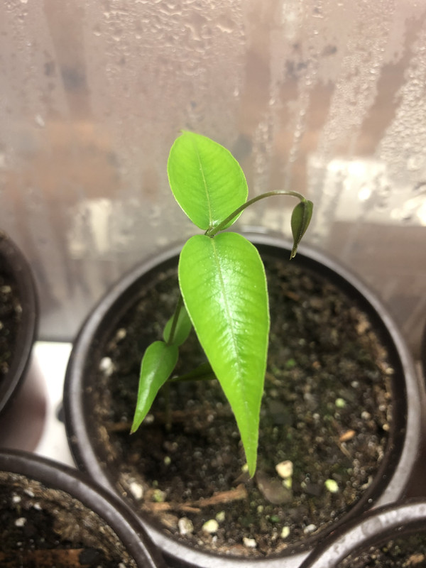 245DB0E2-F0DD-420C-BA74-2BE130FB8349