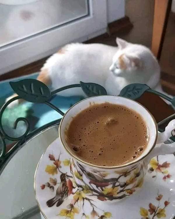 357706775_9621034454635729_2905819180696933093_n