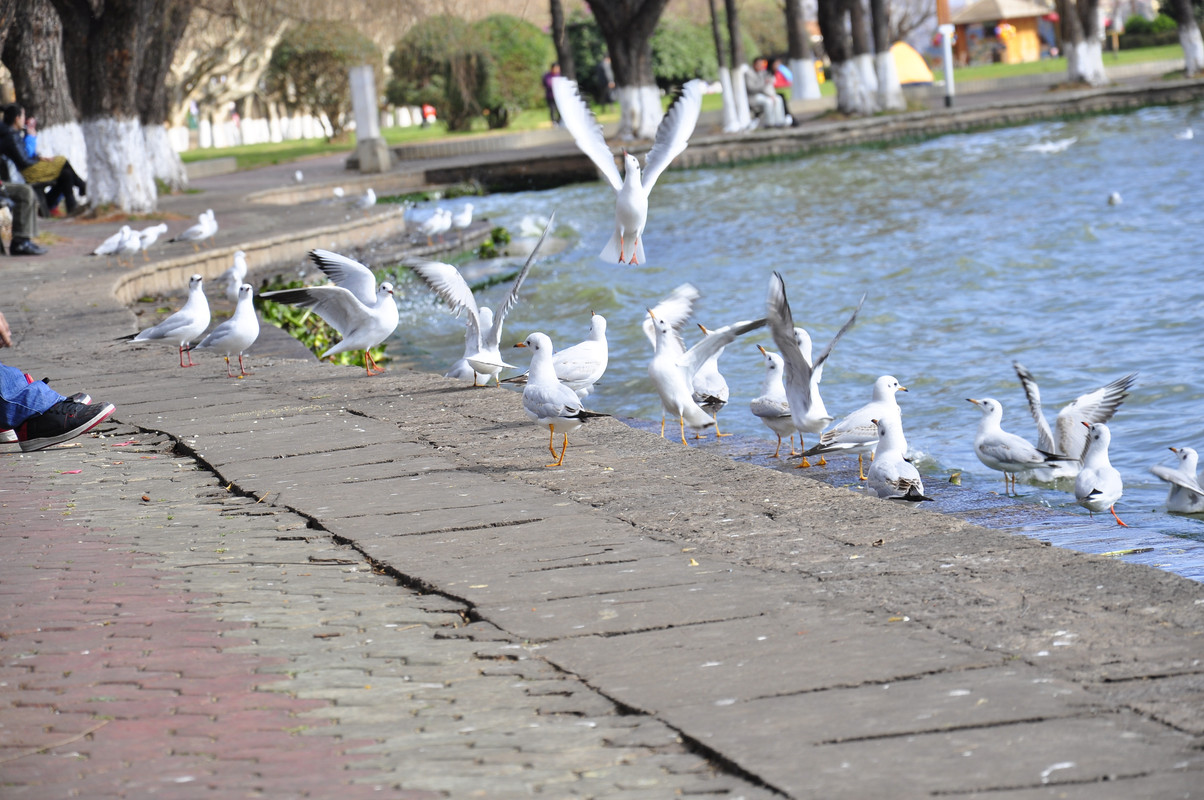 _DSC0846 (2015_08_13 16_07_04 UTC)