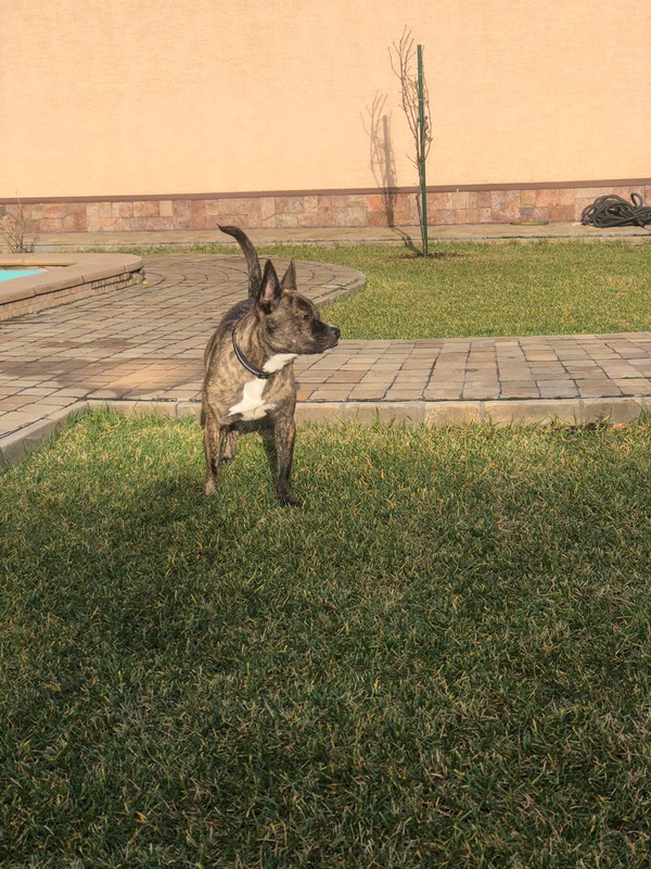 AD4934A6-57D9-4A5D-85D6-131014921630