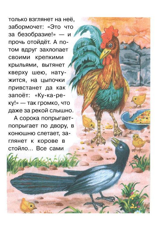 p0020