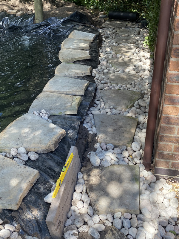 E41A46B2-1F9A-4549-80FA-4119A4CB1591