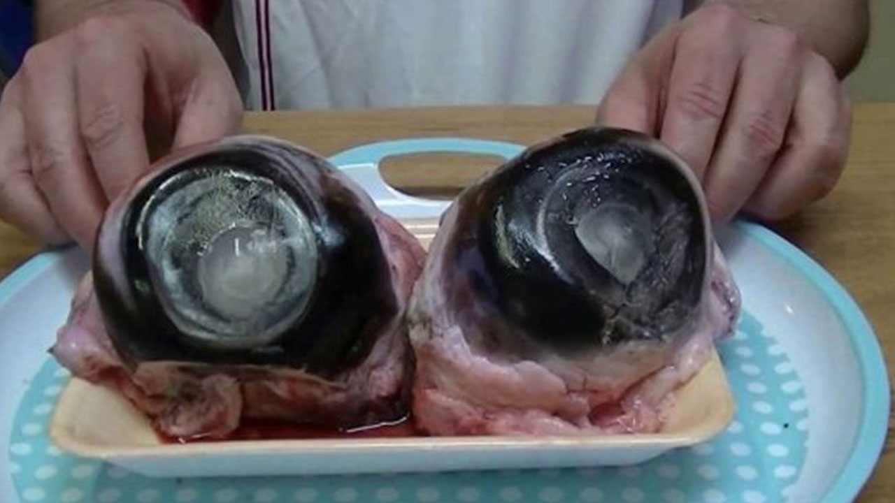 Kuliner Ekstrem, Bola Mata Tuna yang Bikin Penasaran