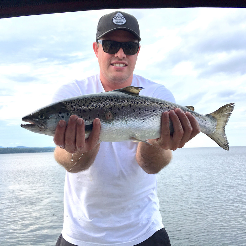 D86AC854-43A1-4813-A5F2-98480769A63E