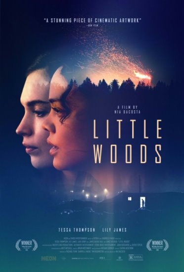 Little Woods (2018) PL.WEB-DL.XviD-GR4PE | Lektor PL
