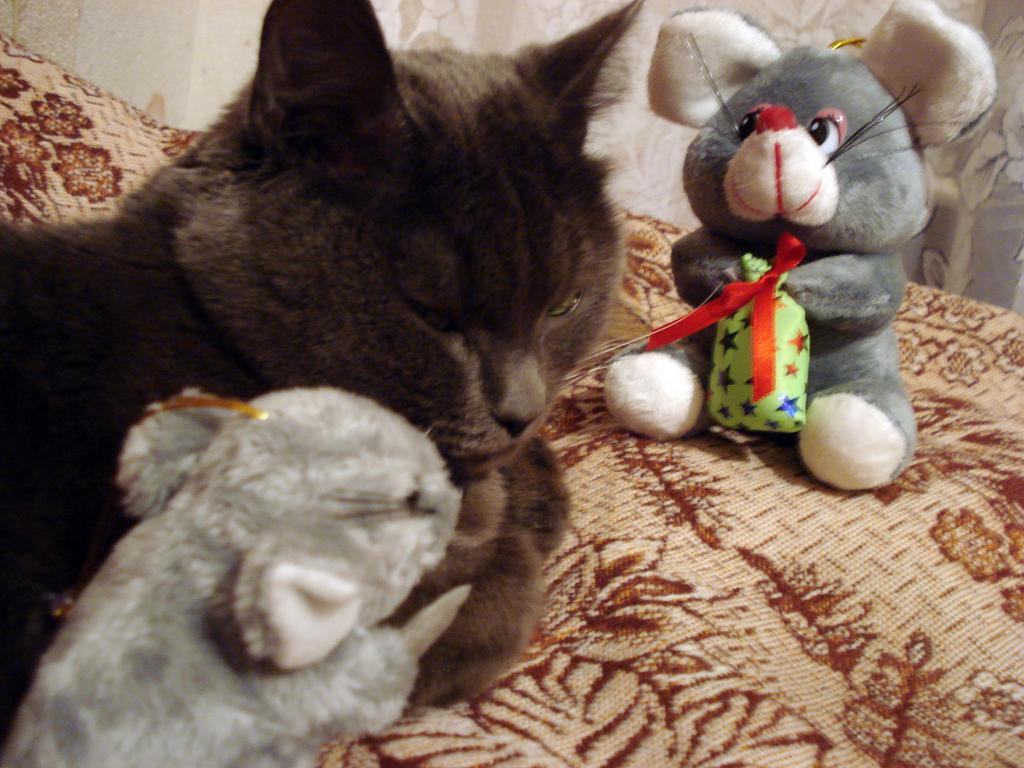 DSC09852.jpg