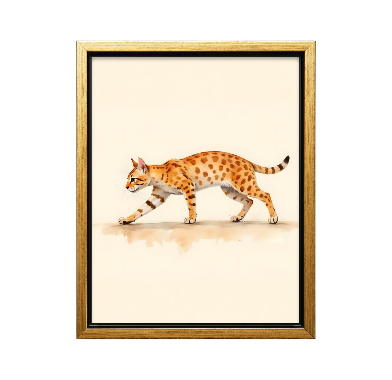 (IP006369C) Bengal v4