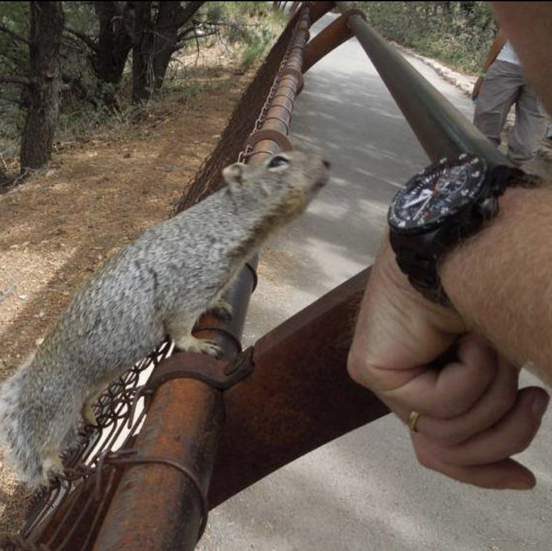 D9D7A7AB-2EF9-4494-B3A7-83591B7A0957