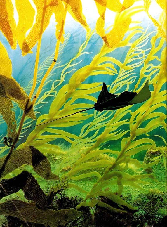 main-qimg-012e8dbc57606fef5427b750921c25ac-c