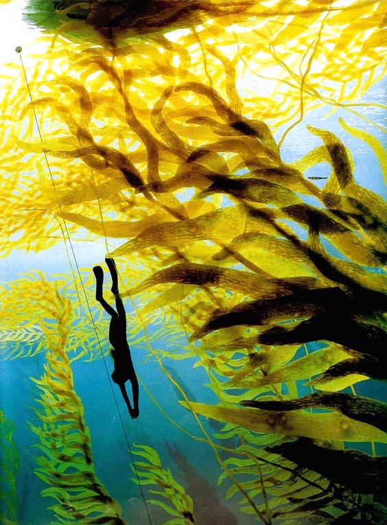 main-qimg-8cc6364578b64a292e655d15983442d0-c