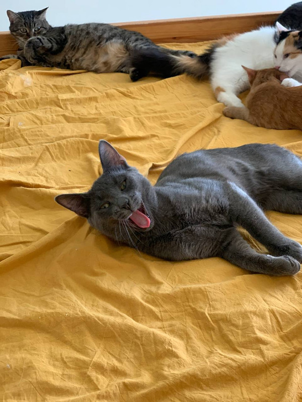 E790B195-A542-4163-8DAE-F0DD7DA2BB89