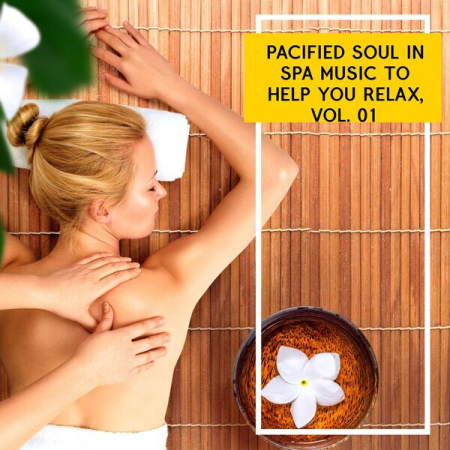 VA - Pacified Soul in Spa Music to Help You Relax Vol 01 (2022)