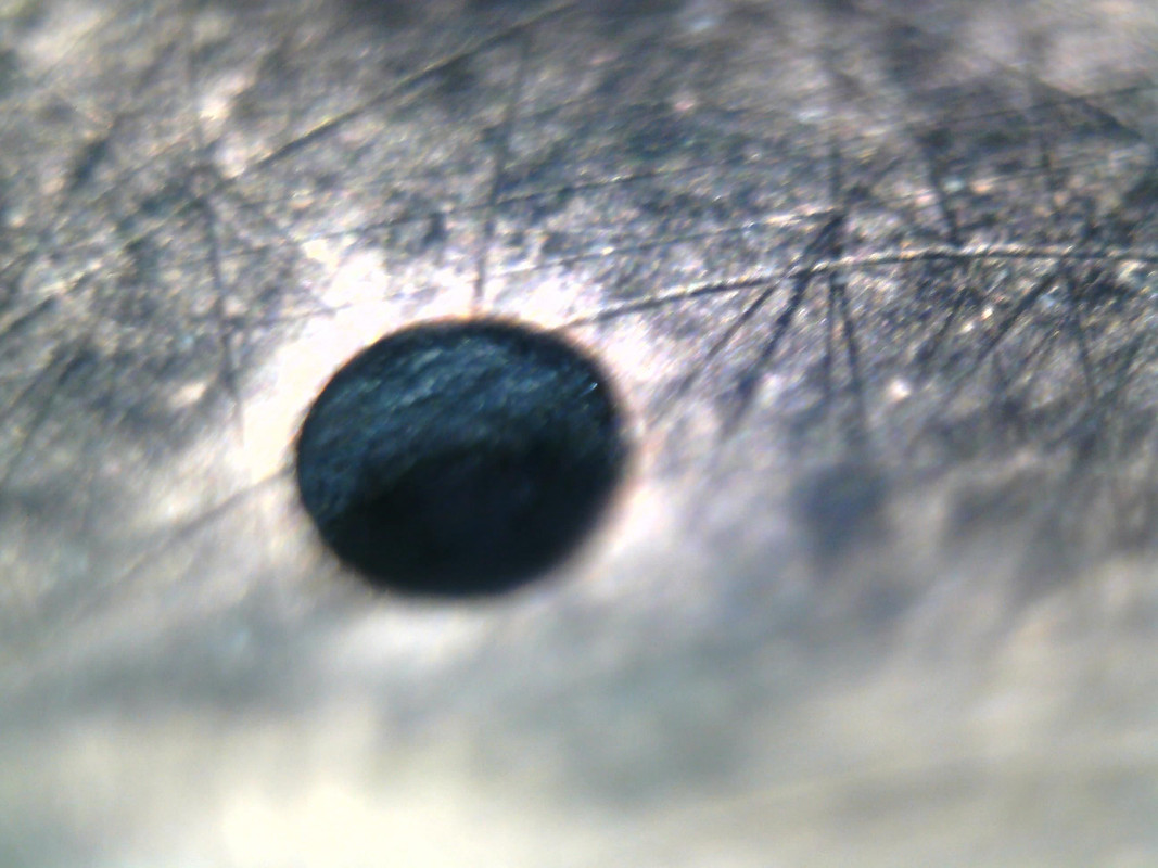 Изображение 053