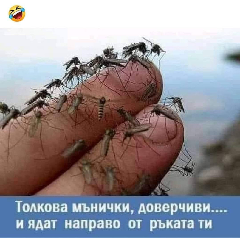 231262076_10219750534375188_1447253640054285028_n