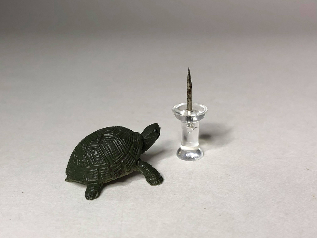 Club Earth? - Micro Minis  Tortoise