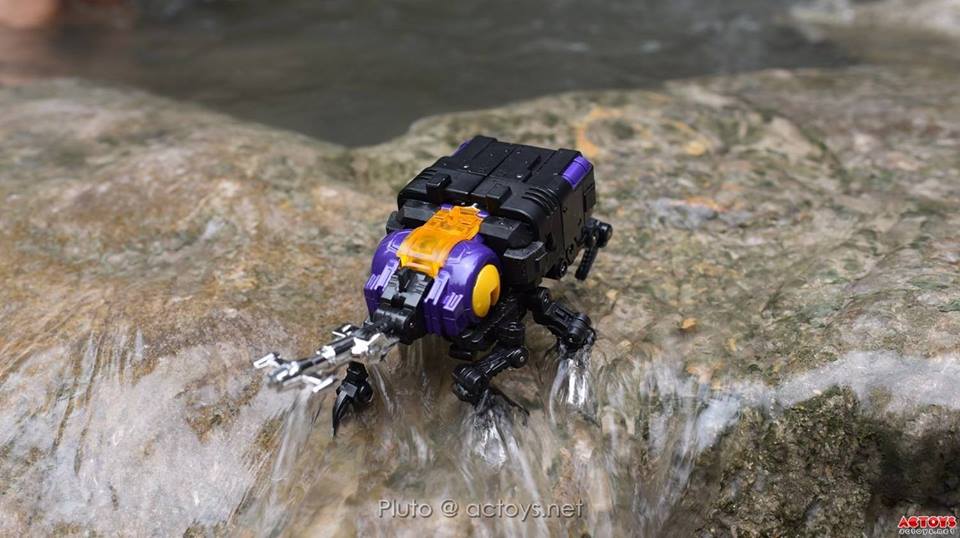 10405665_870623856357358_2471070806610596662_n