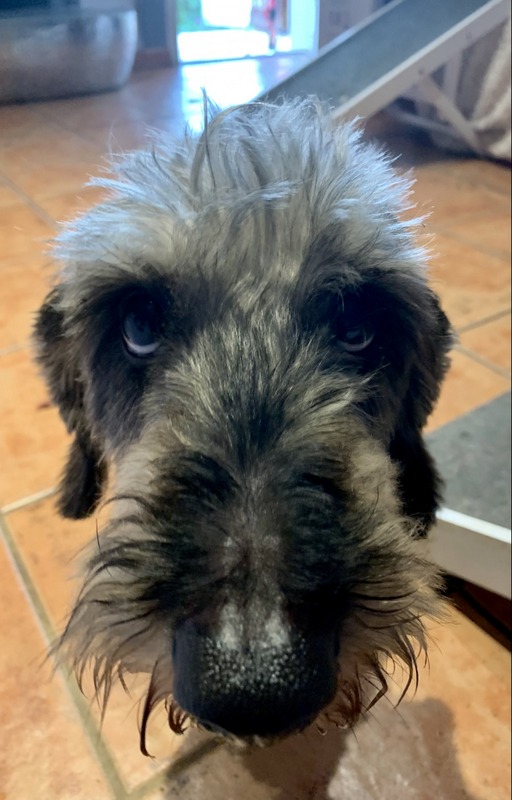 [Image: IMG-0958.jpg]