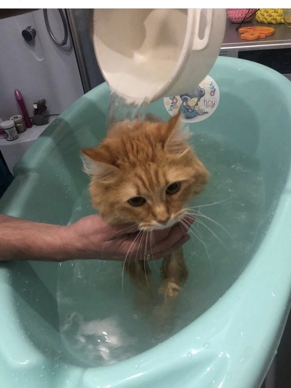 AE031D78-B206-4C42-82CC-F28D19E628C2